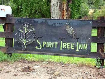 Spirit Tree 2*