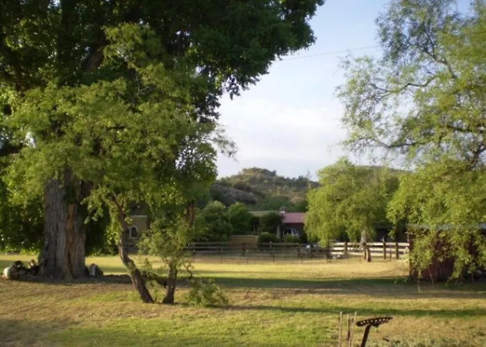 Spirit Tree Inn B&B
